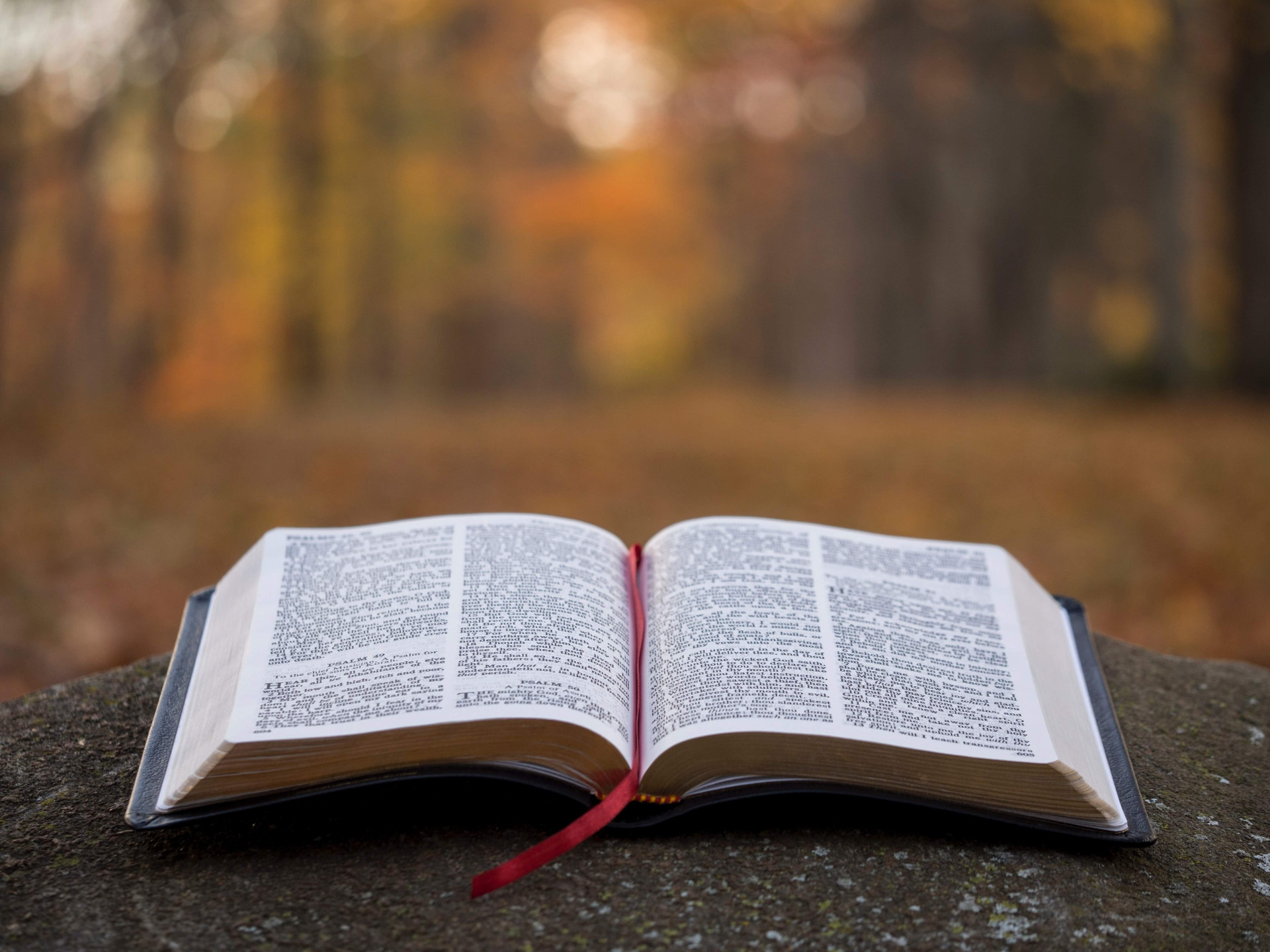 Gratidão: dicas bíblicas para praticar o agradecimento